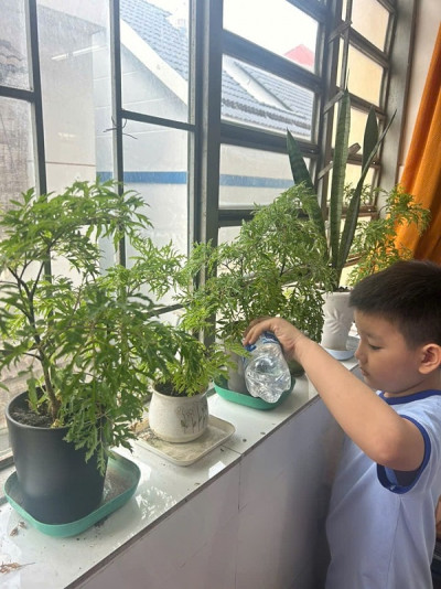 Học sinh lớp 2 Trường Tiểu học Phú Lợi duy trì chăm sóc cây xanh tại lớp học
