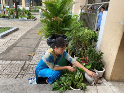 Trường Tiểu học Phú Lợi đã tổ chức buổi họp mặt khai xuân đầu năm