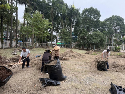 Cán bộ, giáo viên, nhân viên trường tiểu học phú lợi chung tay tổng vệ sinh khuôn viên trường. (cục thống kê tỉnh Bình Dương cũ)